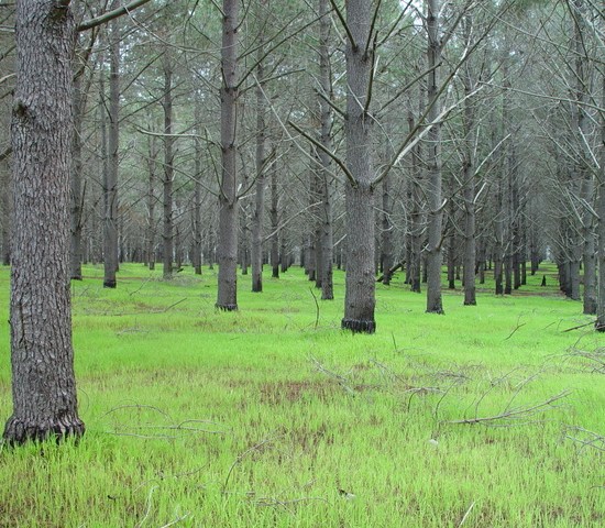 dsc20050813_115856_52